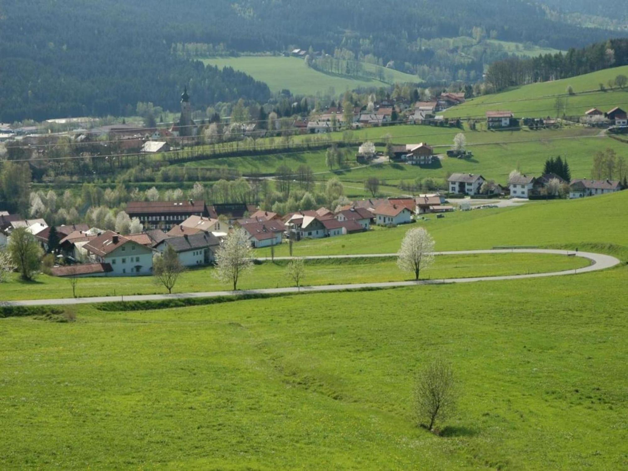 Apartment In The Bavarian Forest With Balcony Drachselsried Eksteriør bilde