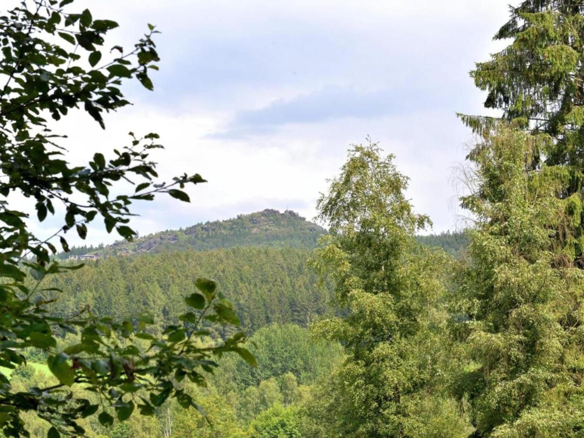 Apartment In The Bavarian Forest With Balcony Drachselsried Eksteriør bilde